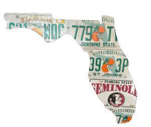 Florida State Seminoles license plate