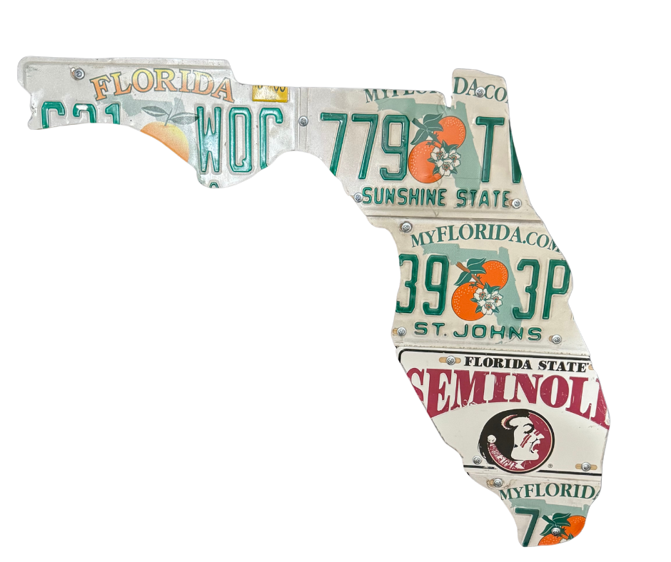 Florida State Seminoles license plate