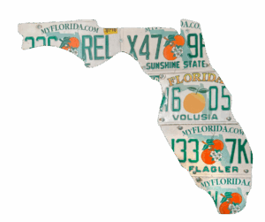 Florida license plate wall art