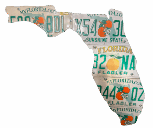 Custom Florida Christmas gifts