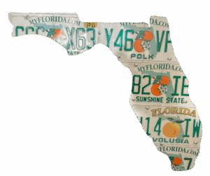 Wall art Florida