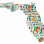 Florida State wall art
