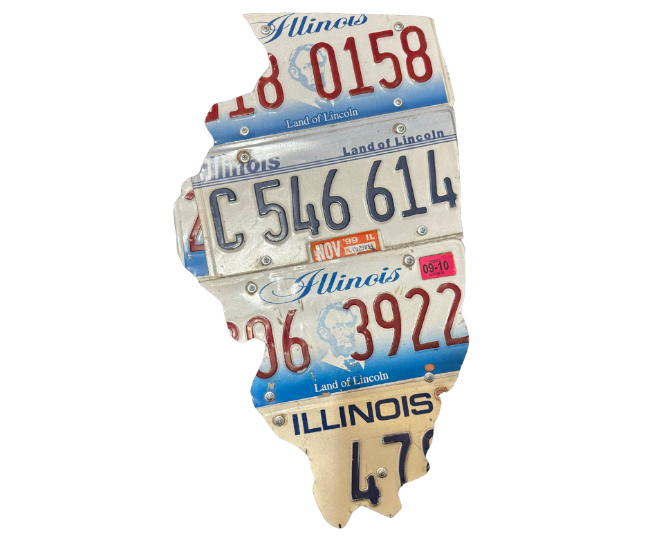 Illinois state wall art