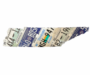 Tennessee License Plate Wall Art