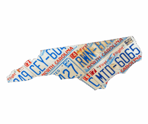NC license plate art