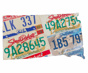 South Dakota State Wall Decor