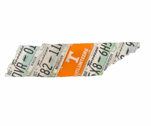 Tennessee state plate dVR